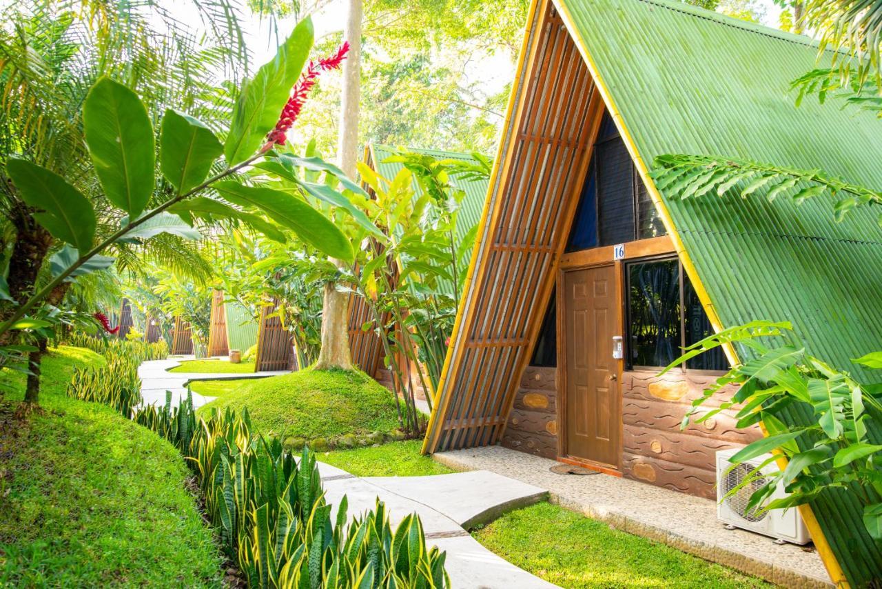 Hotel Y Bungalows El Jardin San Felipe Zewnętrze zdjęcie